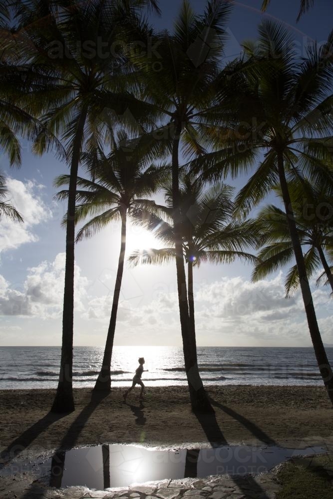 Young boy running between palm trees, palm cove - Australian Stock Image