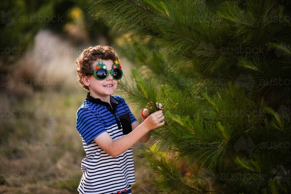 Young boy wearing glasses playing with pine tree - Australian Stock Image