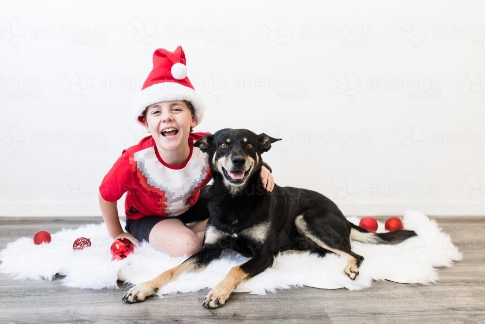 Young boy wearing santa hat sitting with kelpie dog on rug at Christmas laughing - Australian Stock Image