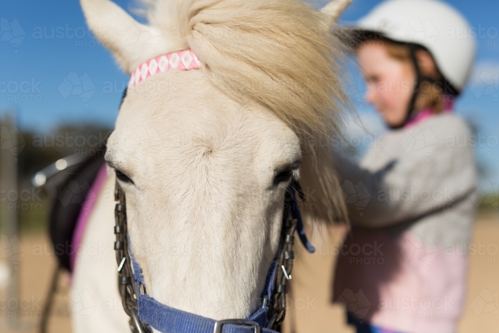 young girl and a close up of a white horse - Australian Stock Image