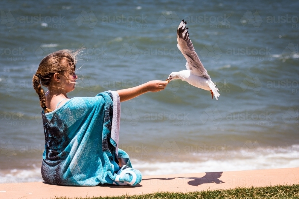 Young girl feeding a seagull - Australian Stock Image