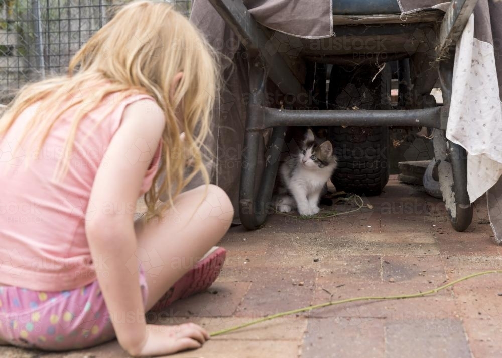 Young girl looking at scruffy kitten hiding under wheelbarrow - Australian Stock Image