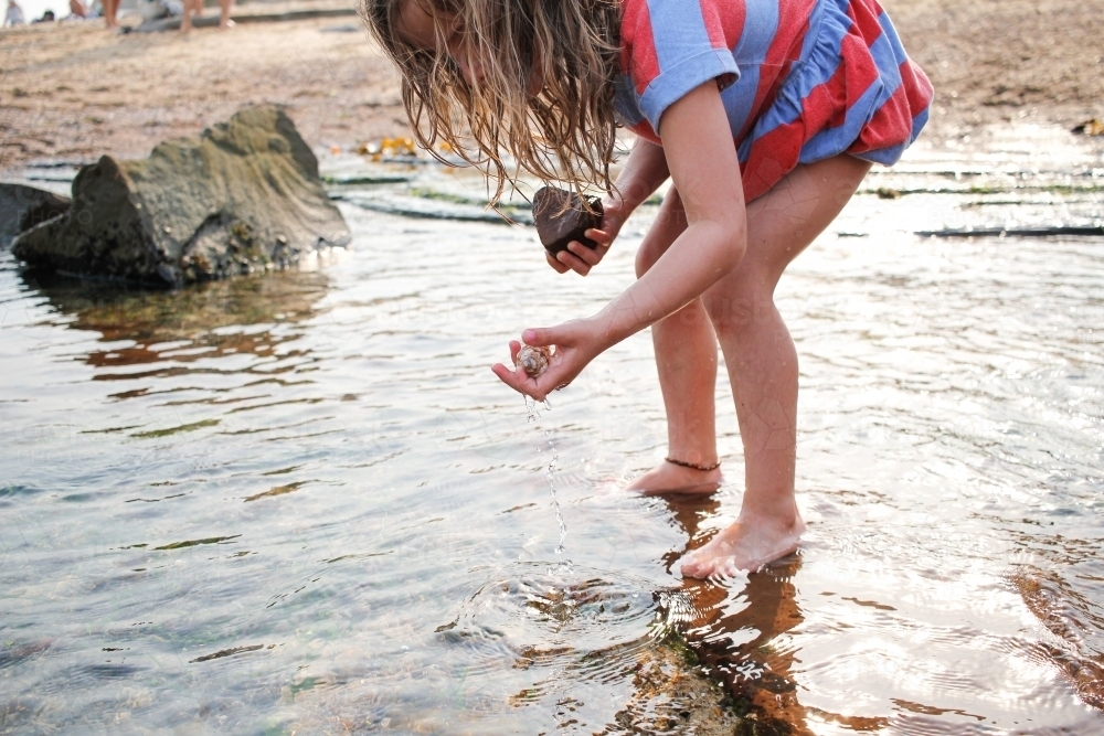 Young girl looking for shells and rocks in the shallow waters at the beach - Australian Stock Image