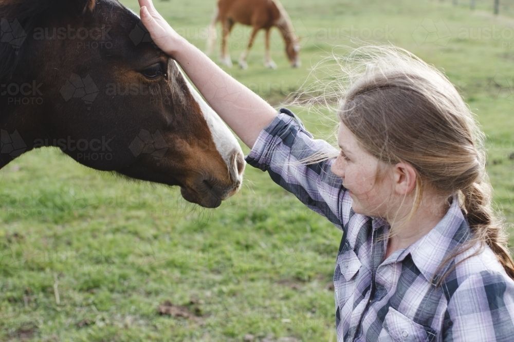 Image of Young girl patting a horse - Austockphoto