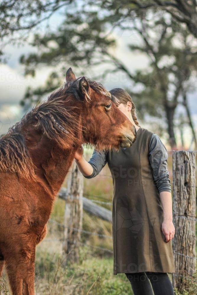 Young girl patting a large pony - Australian Stock Image