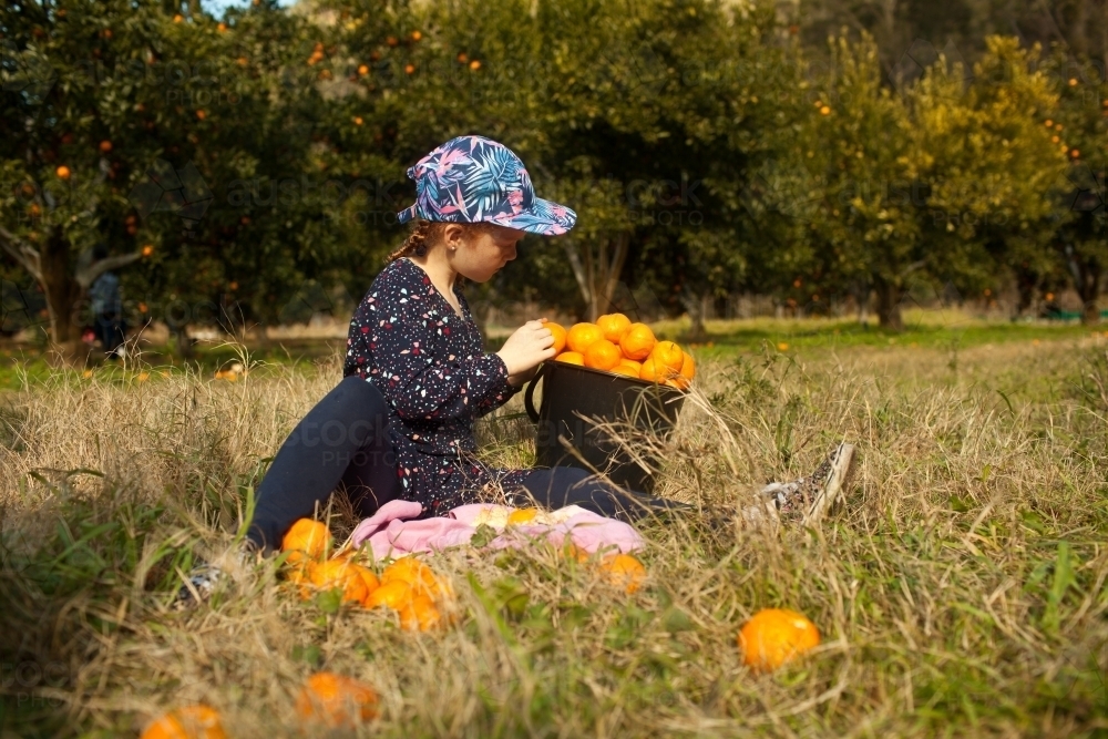 Young girl sitting with mandarins at a farm - Australian Stock Image