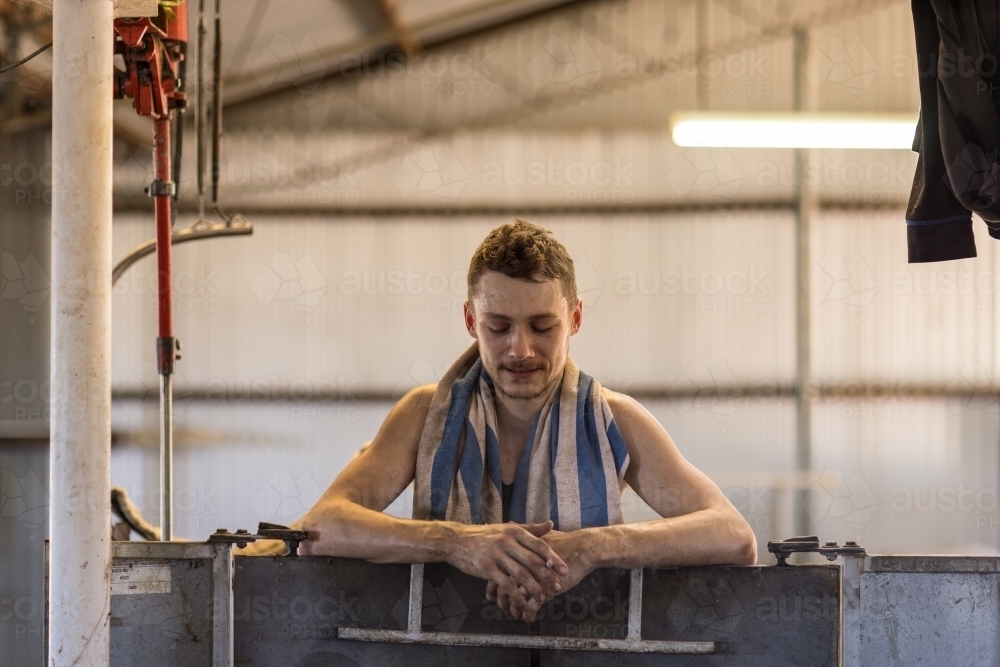 young shearer looking down and leaning on pen gate - Australian Stock Image