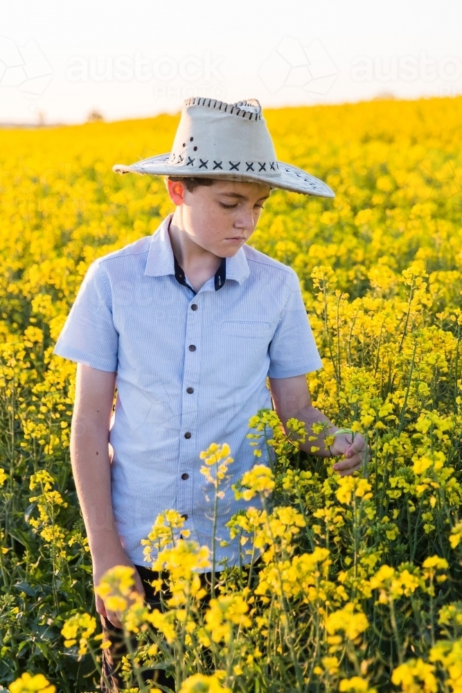 Young tween boy wearing hat on farm in canola crop touching flowers - Australian Stock Image