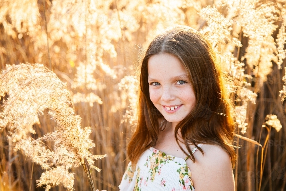 Young tween girl and bulrushes backlit by golden sunlight - Australian Stock Image