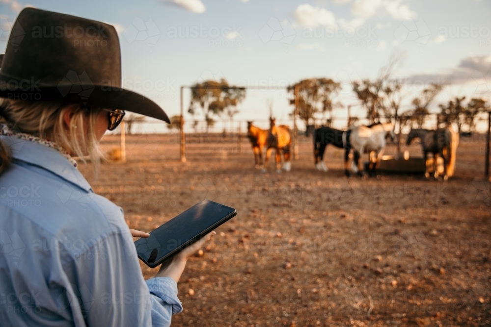 Young woman holding a tablet on the farm - Australian Stock Image