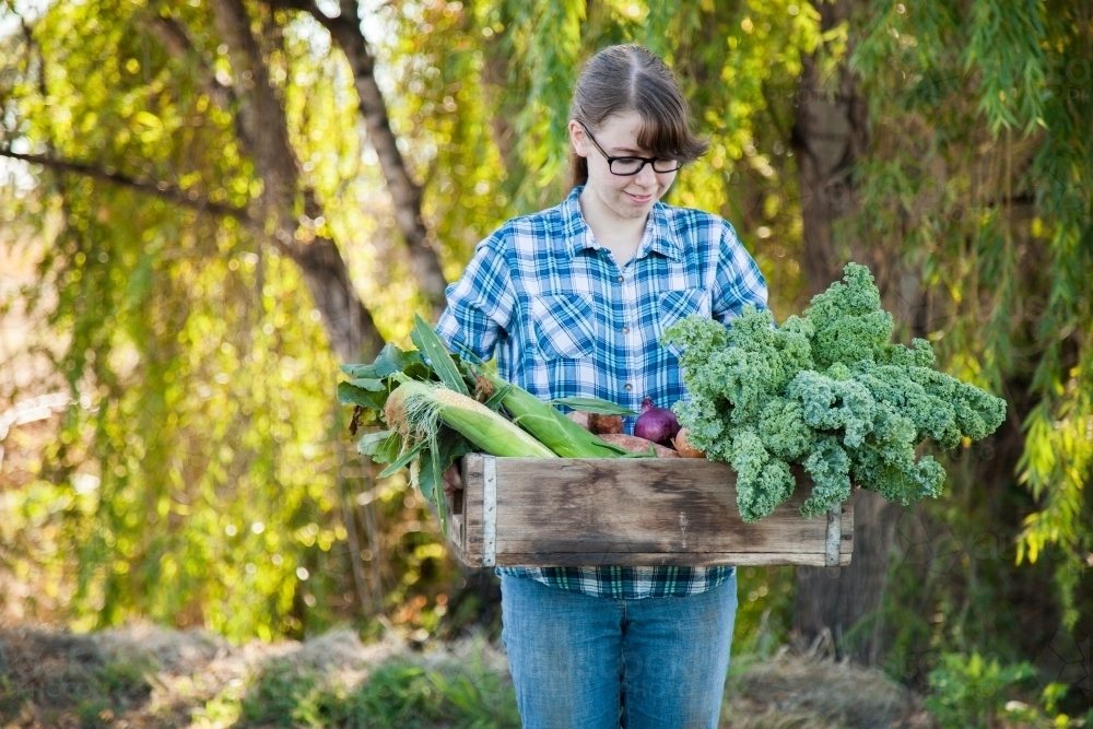 Young woman in flannel shirt smiling and holding crate of fresh farm grown vegetables, corn and kale - Australian Stock Image