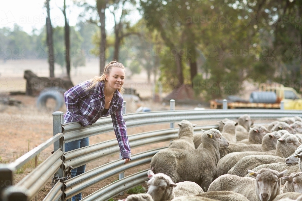 Young woman on farm with sheep - Australian Stock Image