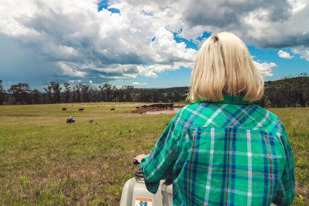 Young woman sitting on stationary quad watching cattle being mustered towards a dam - Australian Stock Image