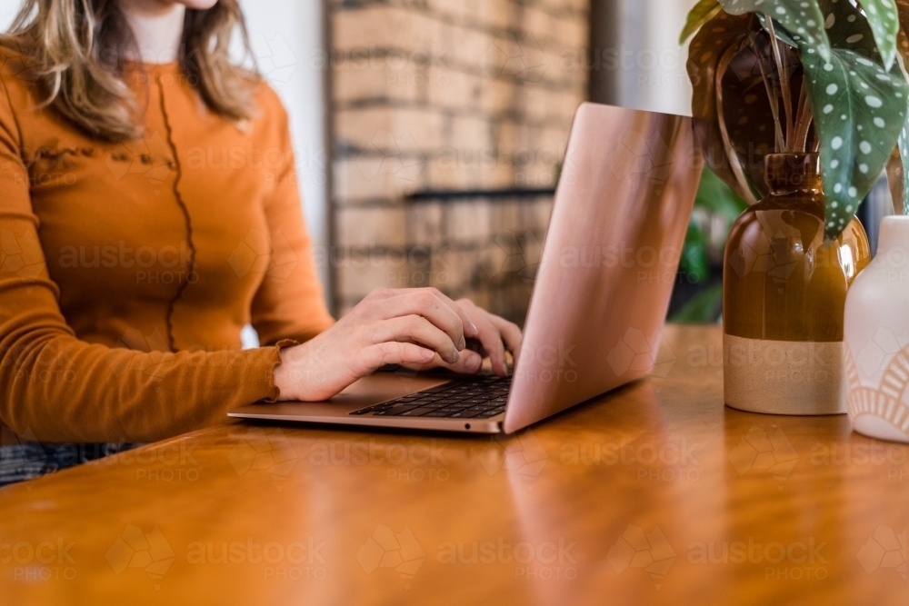 young woman using computer at home - Australian Stock Image