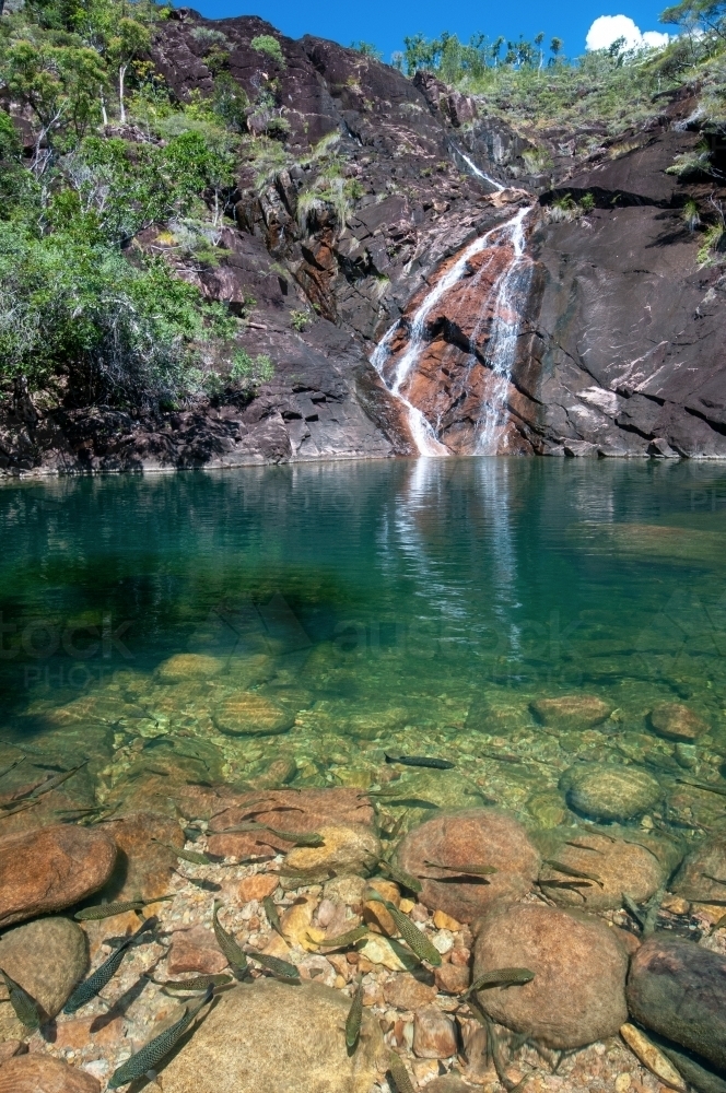 Zoe Falls with a still pool with fish - Australian Stock Image