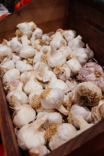 Pile of white garlic at the market. - Australian Stock Image