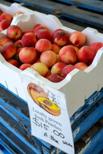 A box of fresh peaches for sale at Bilpin Fruit Bowl - Australian Stock Image