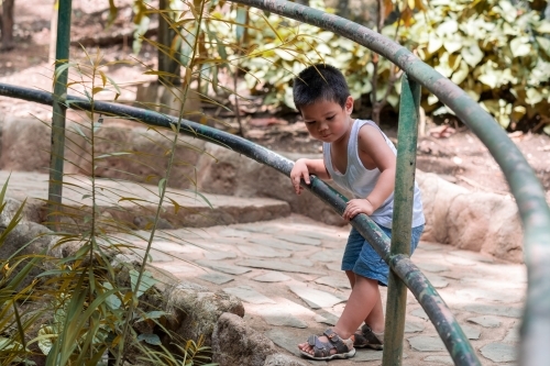 A boy exploring a garden in Cairns