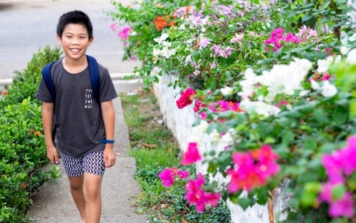 a boy, walking on a pathway lined with shrubs and bougainvillea - Australian Stock Image