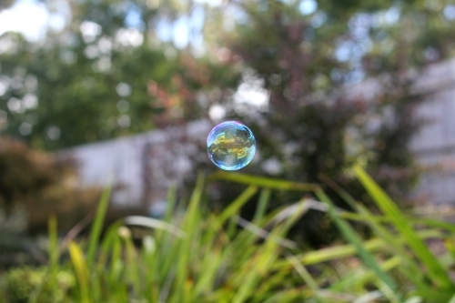 A bubble floating through a garden - Australian Stock Image