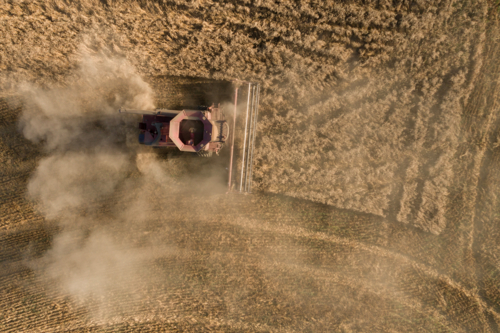 A cereal crop being harvested, aerial view - Australian Stock Image