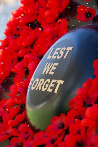A collection of red memorial poppies - Australian Stock Image