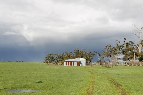 A corrugated iron shed on an Australian farm with green grass and a moody sky in the background