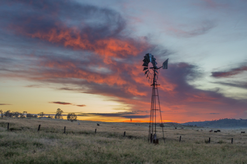 A country windmill in a field under a sunrise sky - Australian Stock Image