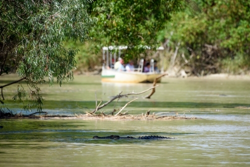 A crocodile partially submerged in the water with people on the boat at the background. - Australian Stock Image