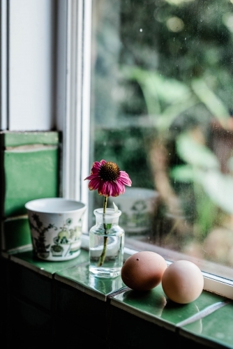 A cup, two eggs and a wilting flower in a vase sitting on a window sill. - Australian Stock Image