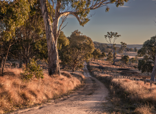 A dirt country road on a winter's morning - Australian Stock Image