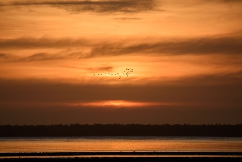 A flock of birds flying across the sunset sky over the lake. - Australian Stock Image