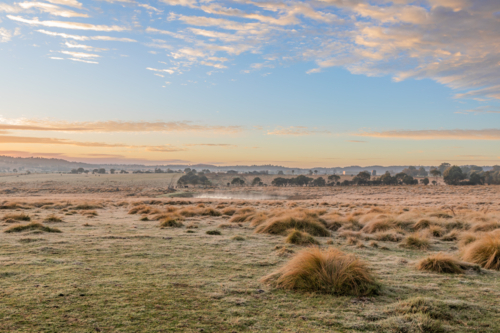 A frosty field on a winter's morning under a blue, cloudy sky - Australian Stock Image