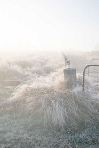 A frozen field and a winter morning - Australian Stock Image