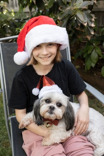 A  girl wearing a Santa hat holding a grey and white Lhasa Apso dog which is wearing a Christmas hat - Australian Stock Image