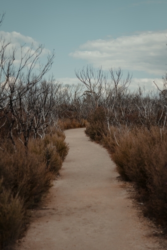 A gravel walking path weaving through bushland at Kanangra Walls Lookout, NSW - Australian Stock Image