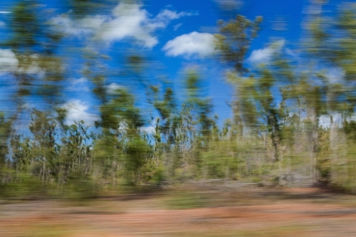 A group of green trees on the side of the road with motion blur - Australian Stock Image