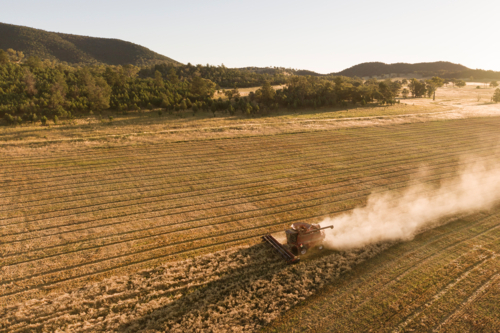 A header is harvesting grain at sunset, aerial view - Australian Stock Image