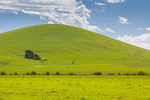 A hill near Creswick shines on a spring day near Creswick in the Victorian goldfields, Australia - Australian Stock Image