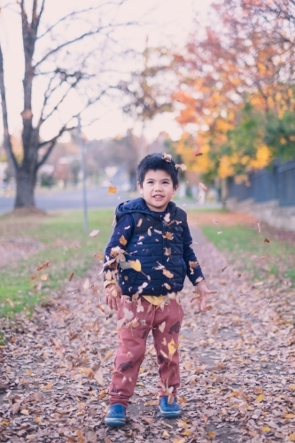 a kid having some fun with autumn leaves - Australian Stock Image