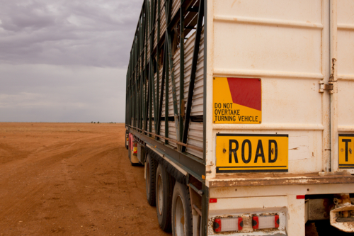 A livestock trailer with road train signs - Australian Stock Image