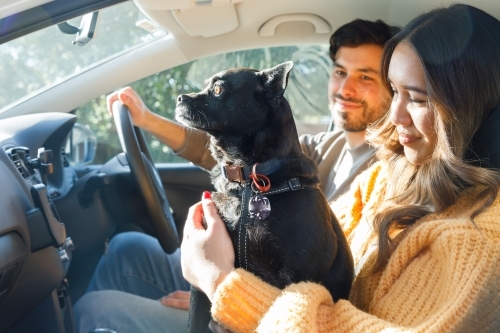 A man and a woman in a car with their dog about to go on a holiday - Australian Stock Image