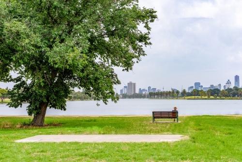 A man sitting next to big tree in the park looking at big city - Australian Stock Image