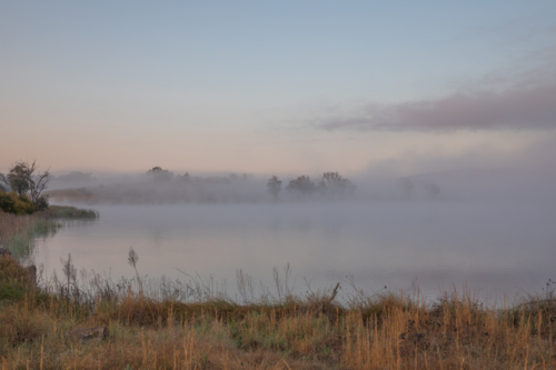 A misty early morning on a country dam - Australian Stock Image