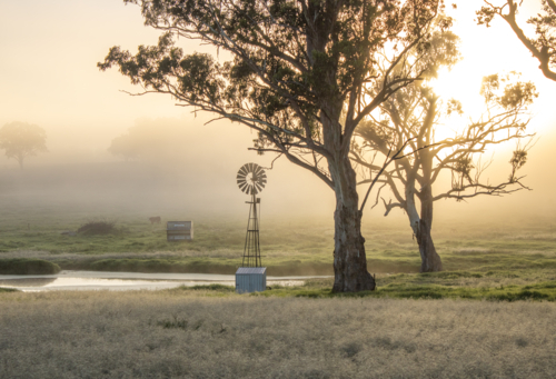 A misty morning and a little windmill - Australian Stock Image