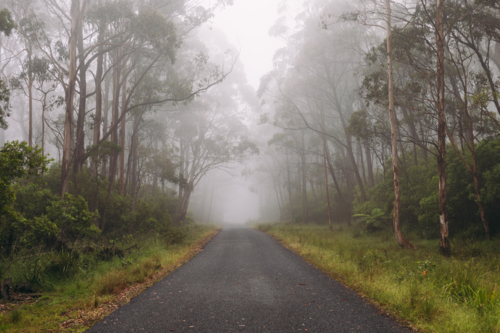 A misty morning and a mountain road - Australian Stock Image