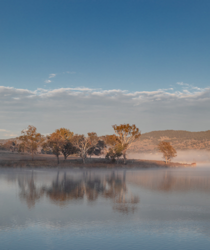 A misty morning on a country dam - Australian Stock Image