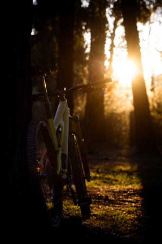 A modern dual suspension mountain bike on an Australian bike trail - Australian Stock Image