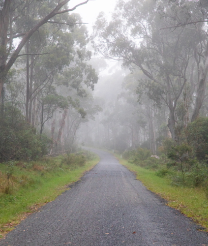 A mountain road on a misty morning - Australian Stock Image