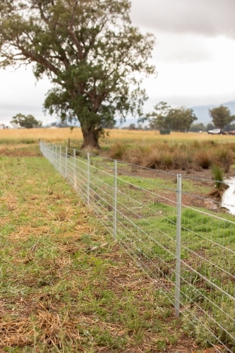 A new fence along a creek - Australian Stock Image